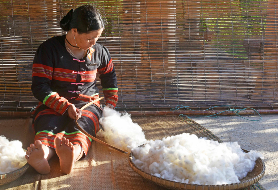 Ảnh 1 Phụ nữ dân tộc Cơ Tu đang bật bông vải cho tơi xốp trước khi kéo sợi