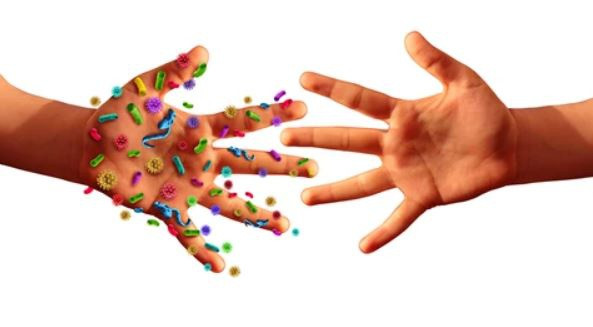 Người nhiễm Covid-19 có thể bắt đầu lây nhiễm cho người khác trong vòng 48 giờ trước khi bắt đầu có các triệu chứng. ẢNH SHUTTERSTOCK