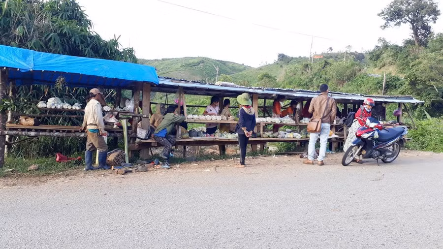 Khách hàng của chợ 10.000 đồng là những vị khách qua đường hay cán bộ, công chức trên đường đi làm về (ảnh T.H)