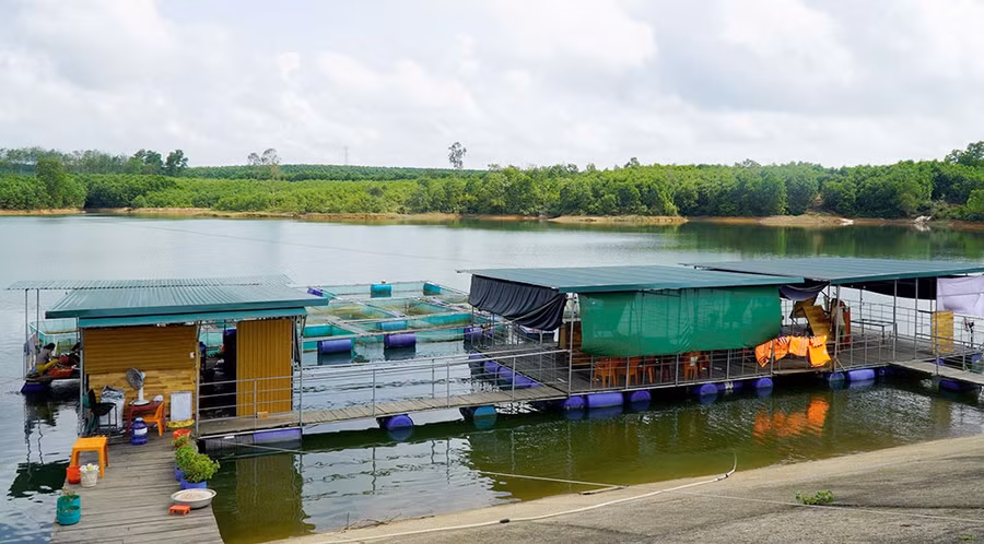 “Nhà hàng nổi” nằm bên cạnh lồng cá của anh Tý. ẢNH: NGUYỄN PHÚC