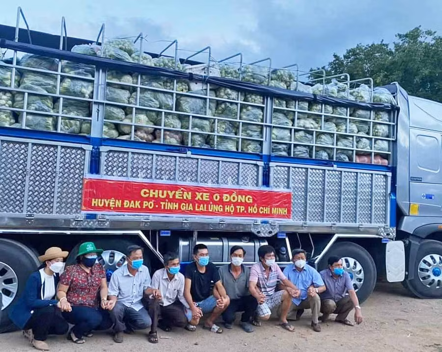 Gần 20 tấn hàng rau củ quả đã được cán bộ và Nhân dân huyện Đak Pơ hỗ trợ nhân dân thành phố Hồ Chí Minh trong công tác phòng-chống dịch Covid-19. Ảnh: Kỳ Anh