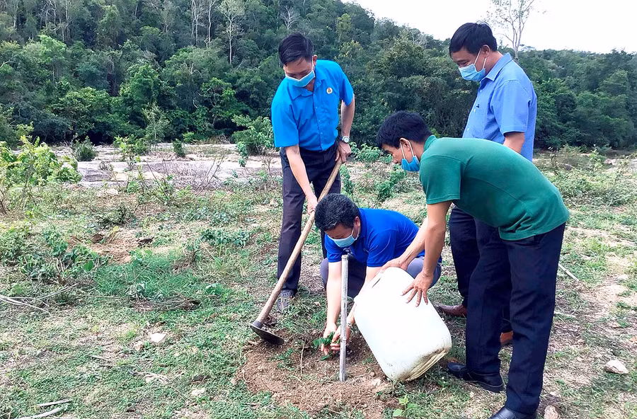  Đoàn viên Công đoàn huyện Kông Chro tham gia trồng cây xanh tại khu vực xã Đak Tơ Pang. Ảnh: Đức Thụy