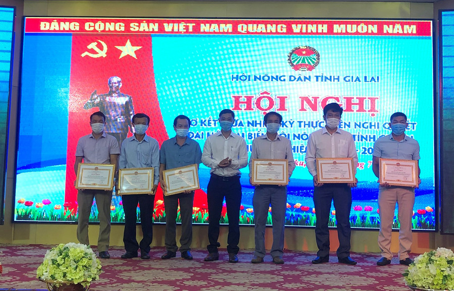  Chủ tịch HND tỉnh tặng bằng khen cho các tập thể, cá nhân có thành tích xuất sắc trong 5 năm thực hiện Chỉ thị 05. Ảnh: Anh Huy