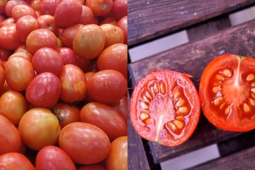 Hạt cà chua không chỉ giúp lưu thông máu, ngăn ngừa hình thành cục máu đông mà còn tốt cho hệ tiêu hóa. Đồ hoạ: Thanh Ngọc