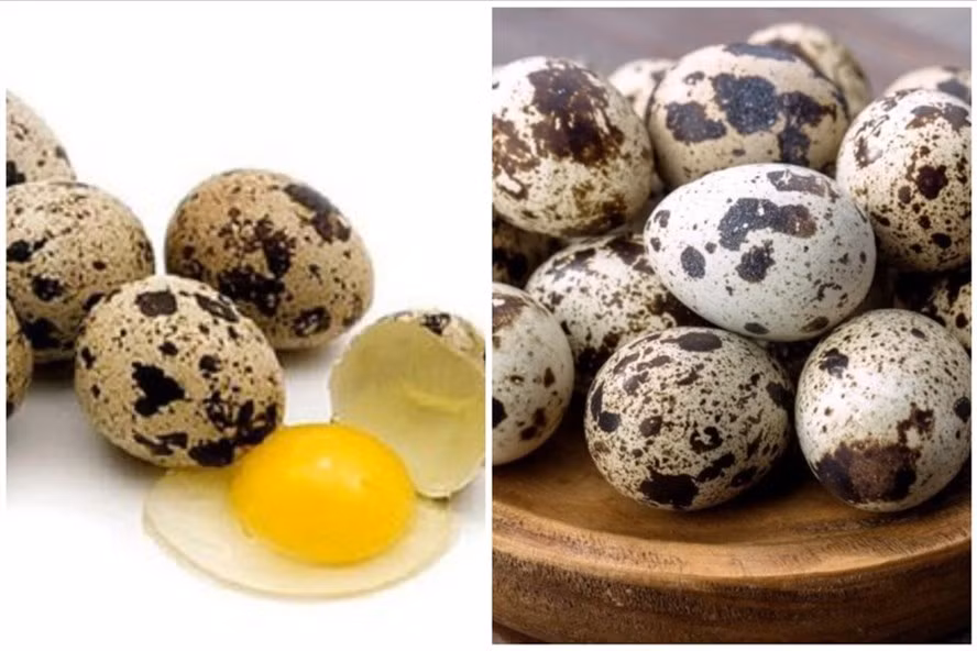 Trứng cút rất giàu dinh dưỡng mang lại nhiều lợi ích cho sức khỏe. Đồ hoạ: Thanh Ngọc.