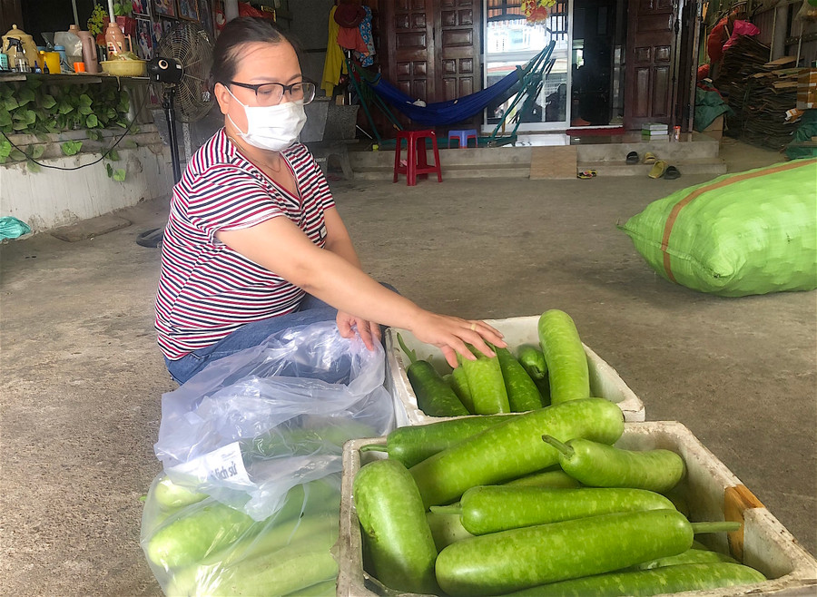 2- Từ đầu năm đến nay, bà Bùi Thị Mộng Lan (thôn Chí Công, xã Cư An) đã ủng hộ khoảng 1 tấn rau, củ, quả cho vùng dịch miền Nam. Ảnh: Mộc Trà.