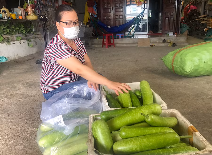 2- Từ đầu năm đến nay, bà Bùi Thị Mộng Lan (thôn Chí Công, xã Cư An) đã ủng hộ khoảng 1 tấn rau, củ, quả cho vùng dịch miền Nam. Ảnh: Mộc Trà.