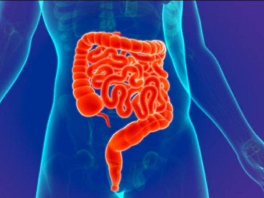 Cấy ghép phân có thể được dùng để điều trị Covid-19. ẢNH MINH HỌA: SHUTTERSTOCK