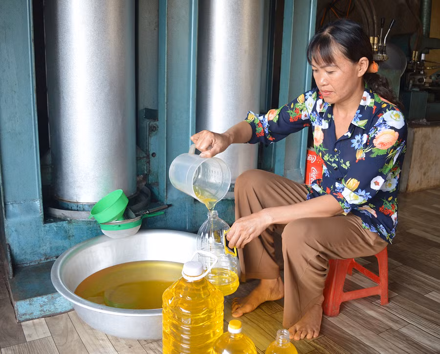 Bà Cúc (thôn 4, thị trấn Phú Hòa, huyện Chư Păh) đang chiết dầu sau khi ép vào từng chiếc can. Ảnh: Anh Huy