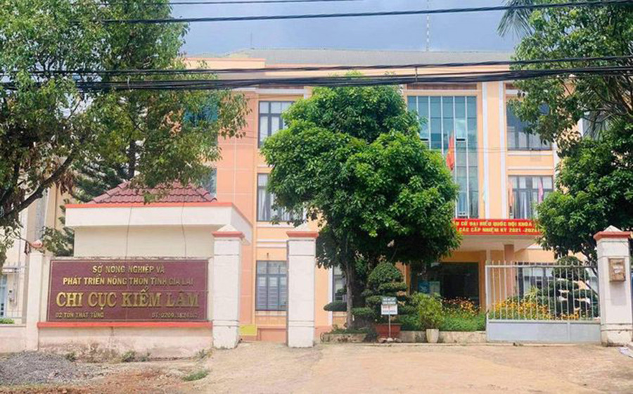 Chi Cục Kiểm lâm tỉnh Gia Lai. Ảnh: Lê Anh Chi Cục Kiểm lâm tỉnh Gia Lai. Ảnh: Lê Anh