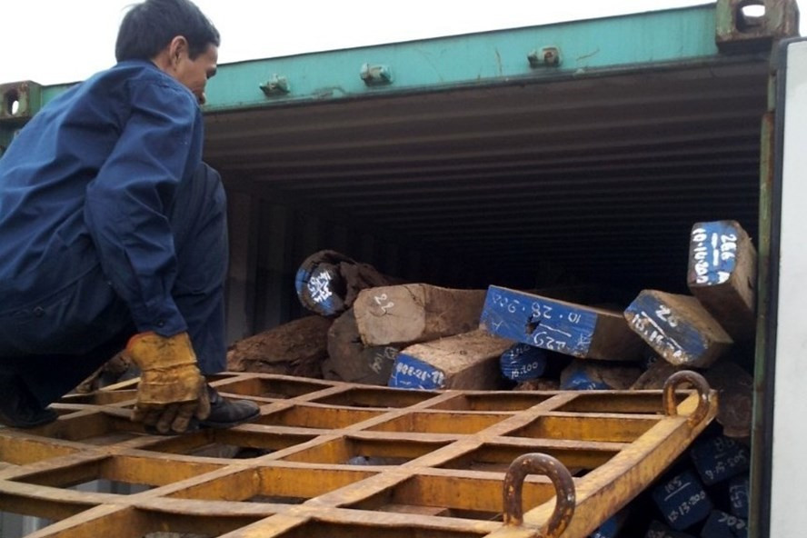 Lô gỗ trắc tang vật của vụ án đã được bán đấu giá. Ảnh: TT.