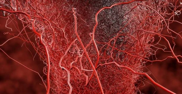 Đã xác định được vấn đề sức khỏe toàn cầu quan trọng: Bệnh từ các mạch máu nhỏ nhất ở tim. ẢNH SHUTTERSTOCK