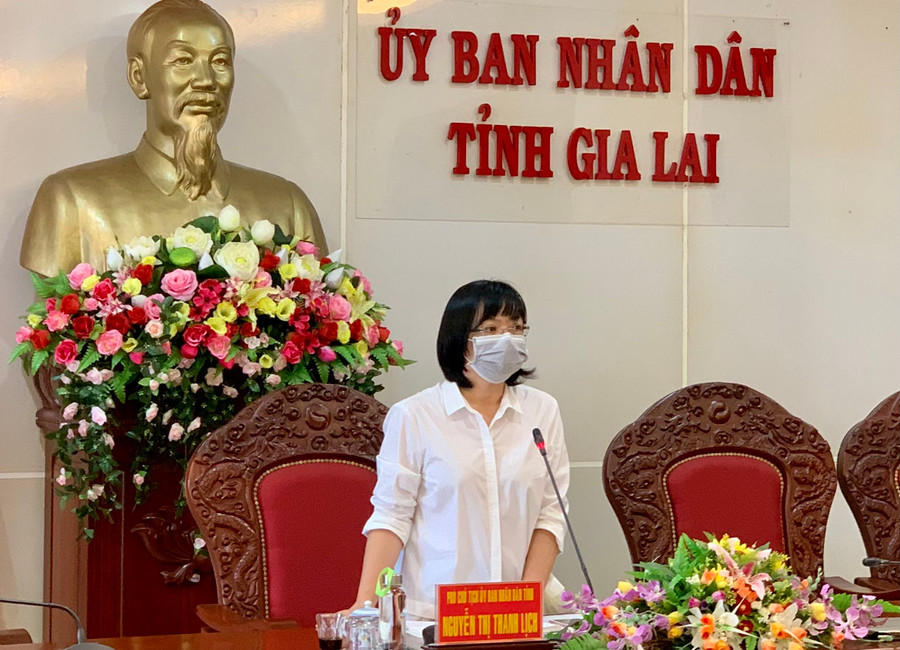  Phó Chủ tịch UBND tỉnh Nguyễn Thị Thanh Lịch phát biểu chỉ đạo tại cuộc họp. Ảnh: Như Nguyện