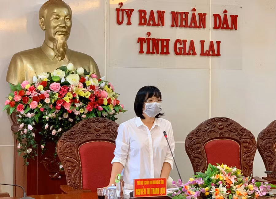  Phó Chủ tịch UBND tỉnh Nguyễn Thị Thanh Lịch phát biểu chỉ đạo tại cuộc họp. Ảnh: Như Nguyện