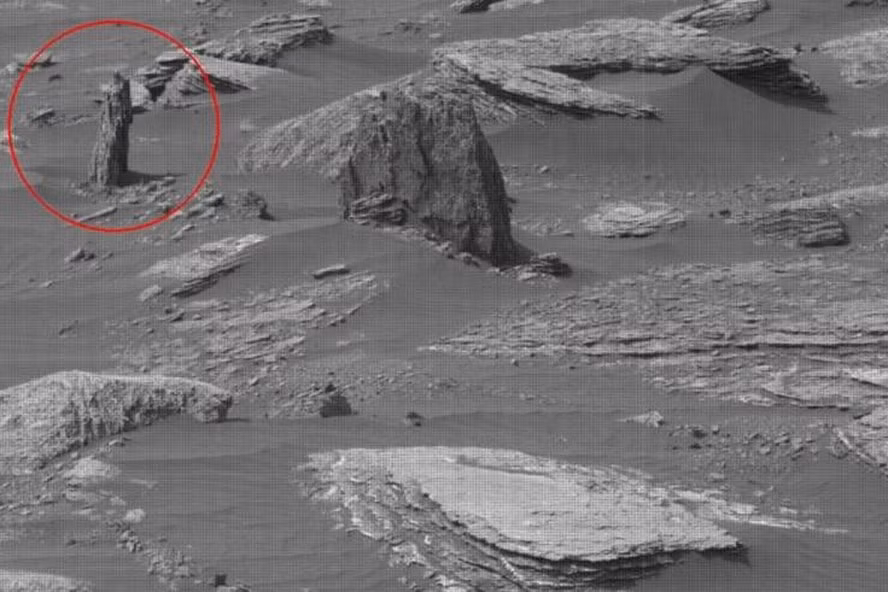 Tàu thám hiểm của NASA phát hiện vật thể giống như cây hoá đá trên sao Hỏa. Ảnh: NASA