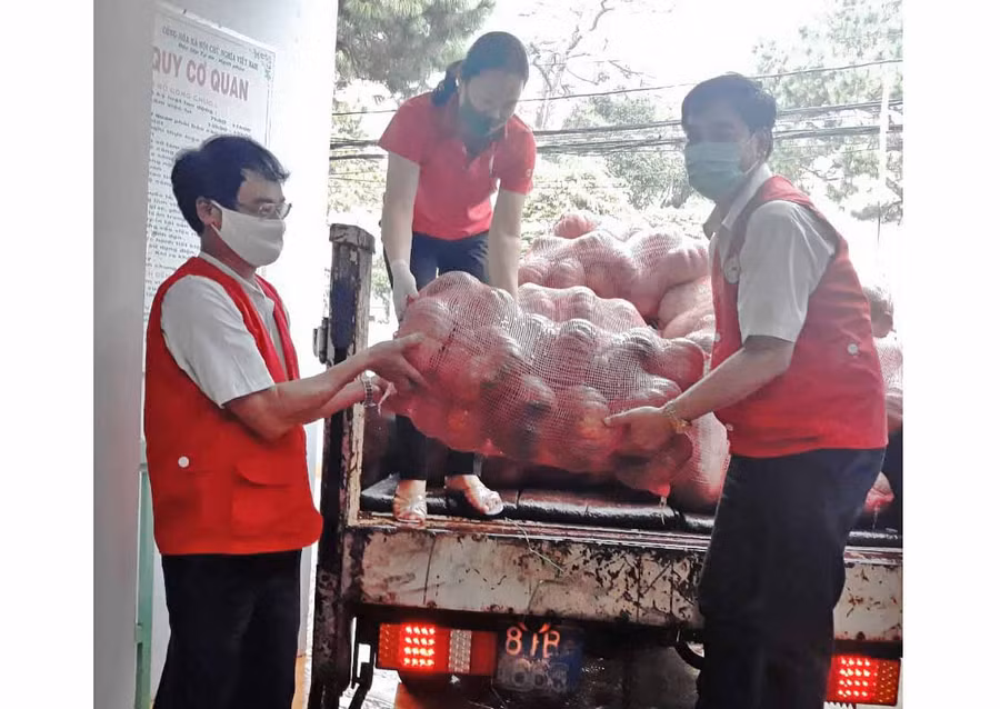 Hội Chữ thập đỏ tỉnh tiếp nhận rau củ quả hỗ trợ người dân vùng dịch. Ảnh: Hồng Ngọc