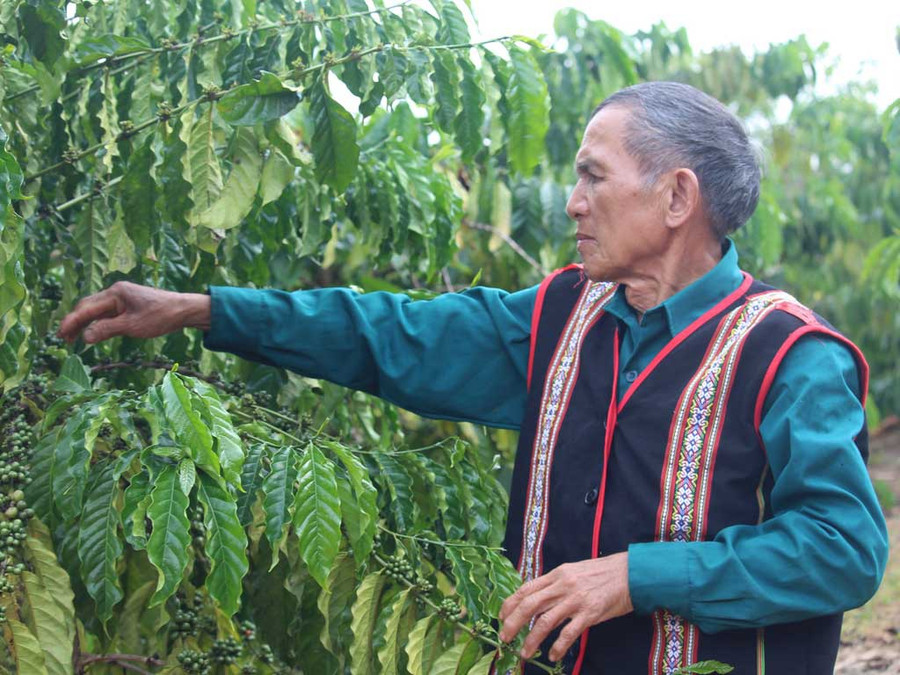 Già làng A Lào là tấm gương đi đầu trong mọi công tác tại địa phương-ẢNH: ĐỨC NHẬT  Già làng A Lào là tấm gương đi đầu trong mọi công tác tại địa phương-ẢNH: ĐỨC NHẬT