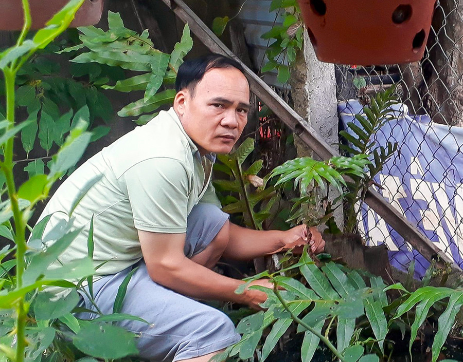 Thầy giáo Lục Văn Chiến bên vườn ươm giống cây tắc kè đá của gia đình. Ảnh: Mộc Trà  Thầy giáo Lục Văn Chiến bên vườn ươm giống cây tắc kè đá của gia đình. Ảnh: Mộc Trà