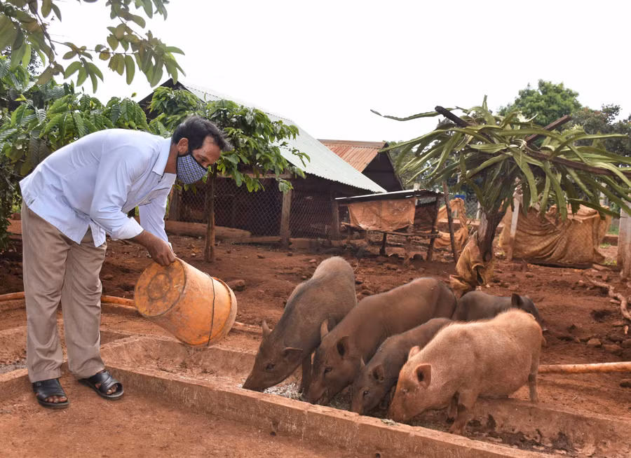 Hội Nông dân huyện Chư Prông đã tạo điều kiện cho hội viên nông dân tiếp cận được với các chính sách hỗ trợ của nhà nước để phát triển kinh tế. Ảnh Trần Dung