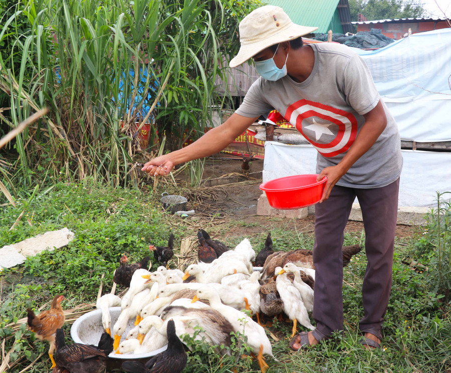 Người dân làng Đê Chơ Gang (xã Phú An, huyện Đak Pơ) chăn nuôi gia cầm, góp phần nâng cao thu nhập. Ảnh Ngọc Minh