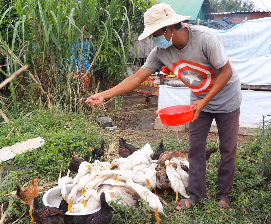 Người dân làng Đê Chơ Gang (xã Phú An, huyện Đak Pơ) chăn nuôi gia cầm, góp phần nâng cao thu nhập. Ảnh Ngọc Minh