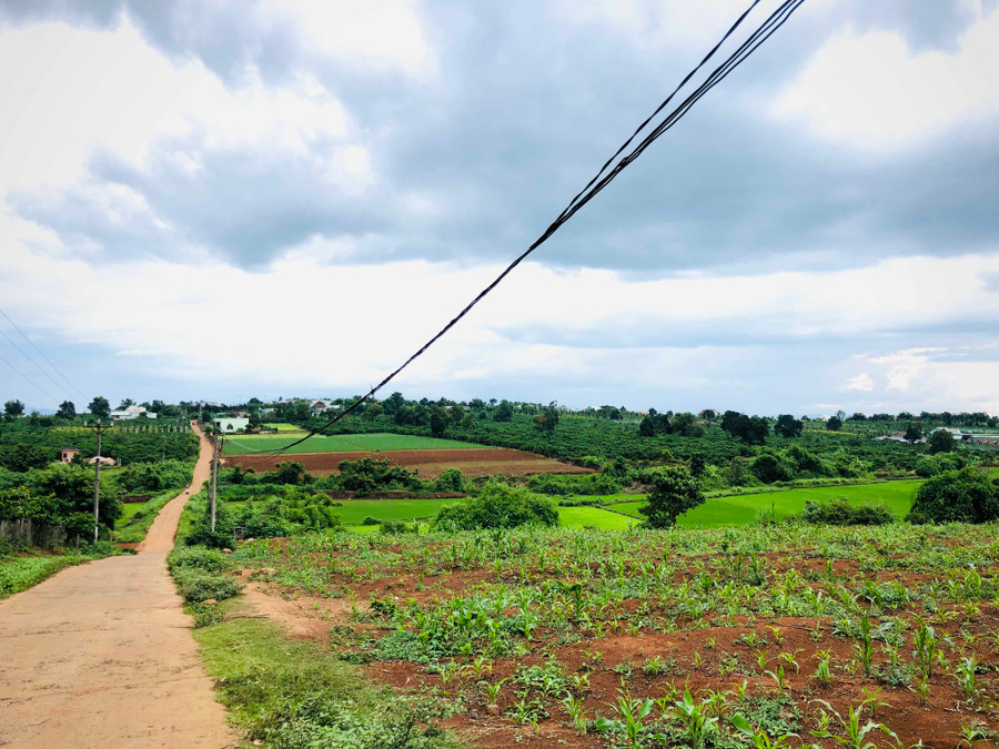 Khu vực vườn rẫy trù phú tnày huộc địa phận làng Ia Klai (xã Ia Băng, huyện Đak Đoa) sẽ đổi thay rất khi đường tránh quốc lộ 19 đoạn qua TP. Pleiku được phóng tuyến đi qua. Ảnh Lê Hòa