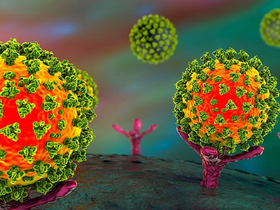Các nhà khoa học đã sử dụng chất ức chế protease GC376 khống chế virus SARS-CoV-2. ẢNH: SHUTTERSTOCK