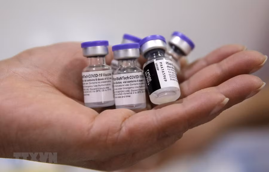  Vaccine phòng COVID-19 của hãng dược Pfizer-BioNTech. (Ảnh: AFP/TTXVN)