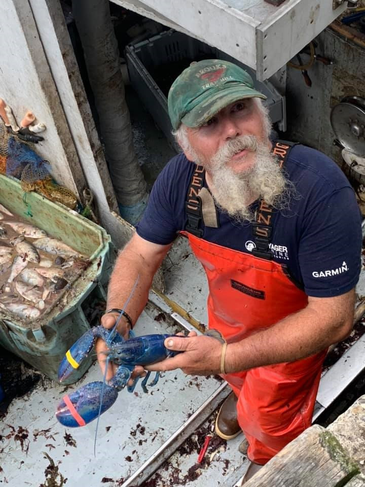  Ông Toby Burnham bên con tôm hùm xanh lam quý hiếm. Ảnh: Captain Joe and Sons