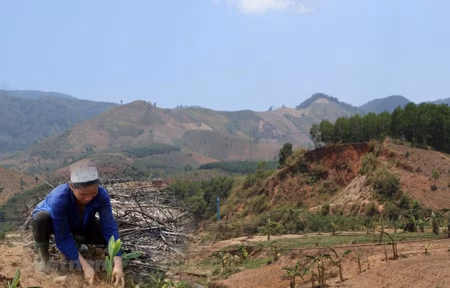 Ảnh chỉ có tính chất minh họa. (Nguồn: Hùng Võ/Vietnam+)