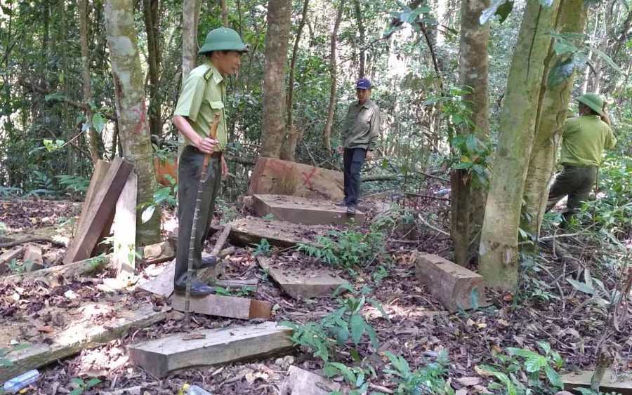 số ván gỗ để lại hiện trường