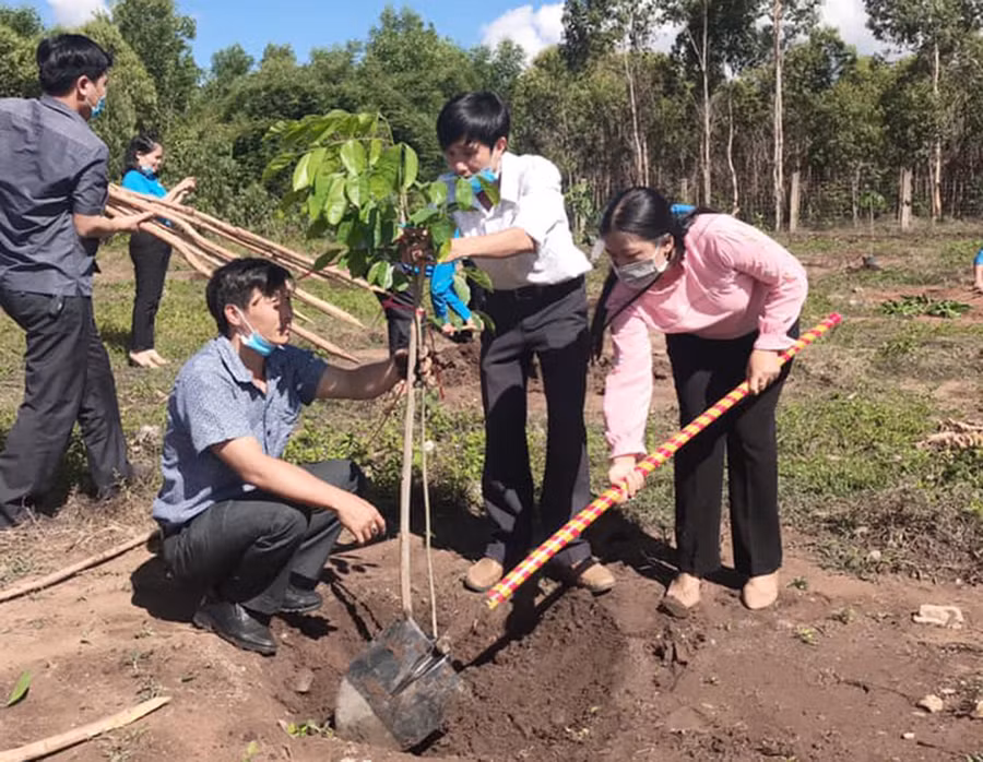  Đoàn viên Công đoàn tham gia trồng cây xanh xung quanh khu vực nhà văn hóa làng Đê Bơ Tưk. Ảnh: Hà Phương
