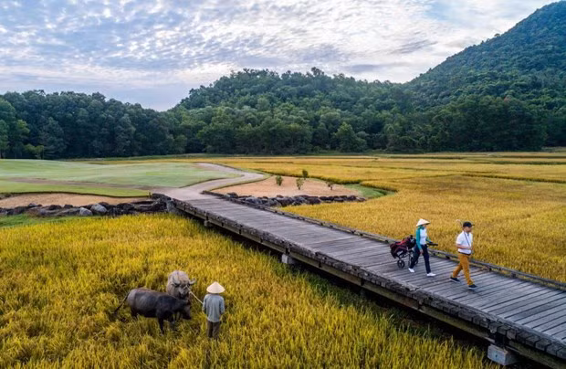 Hướng dẫn viên được hỗ trợ một lần 3.710.000 đồng/người. (Ảnh minh họa: CTV/Vietnam+)