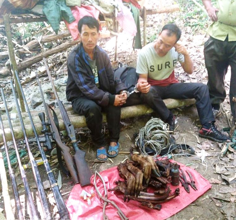 Hai đối tượng săn bắn bị bắt giữ cùng với tang vật là súng, dây bẫy, thịt thú rừng trong Vườn Quốc gia Chư Yang Sin. Hai đối tượng săn bắn bị bắt giữ cùng với tang vật là súng, dây bẫy, thịt thú rừng trong Vườn Quốc gia Chư Yang Sin.