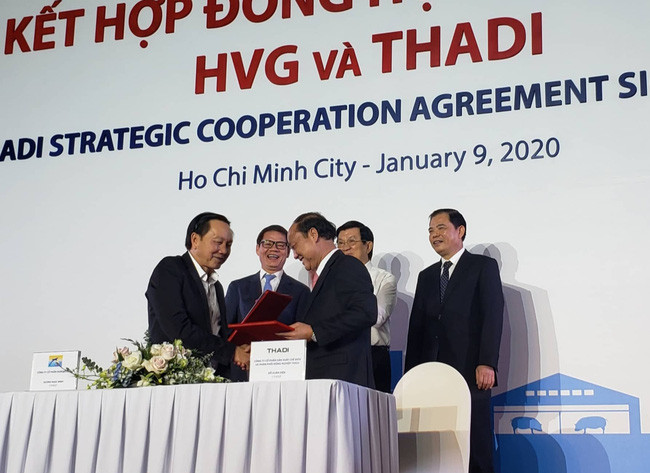 Cái bắt tay giữa Thaco và HVG hồi đầu năm 2020 (Ảnh: Thaco)