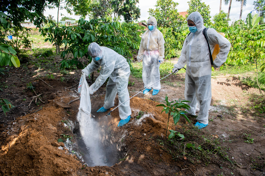 Lực lượng chức năng tiêu hủy bò chết vì bệnh viêm da nổi cục ở xã Đăk Cấm. Ảnh: ĐT
