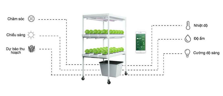 Mô phỏng cách hoạt động của ứng dụng Hachi. Ảnh: NVCC.