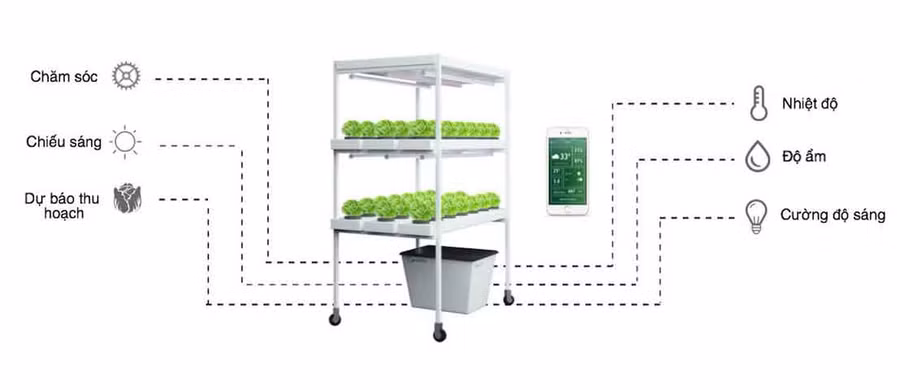 Mô phỏng cách hoạt động của ứng dụng Hachi. Ảnh: NVCC.