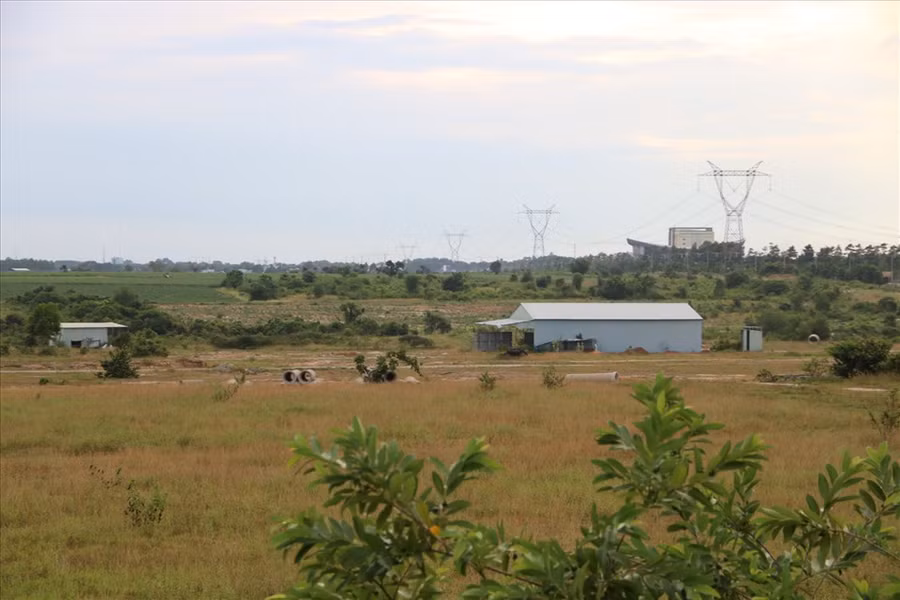  Khu đất 43ha. Ảnh: Dương Bình