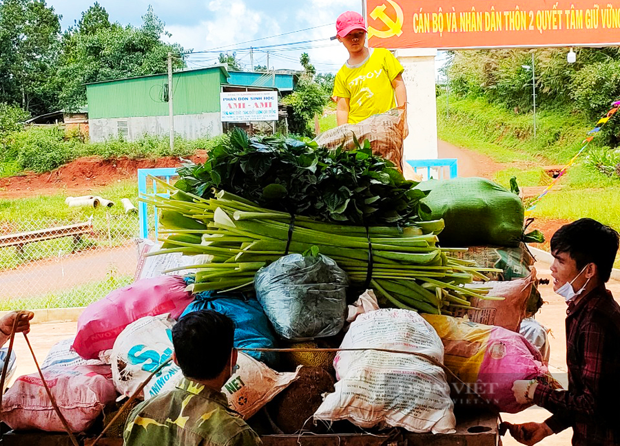 Thậm chí chỉ là bó rau bạc hà. Ảnh: Duy Hậu.