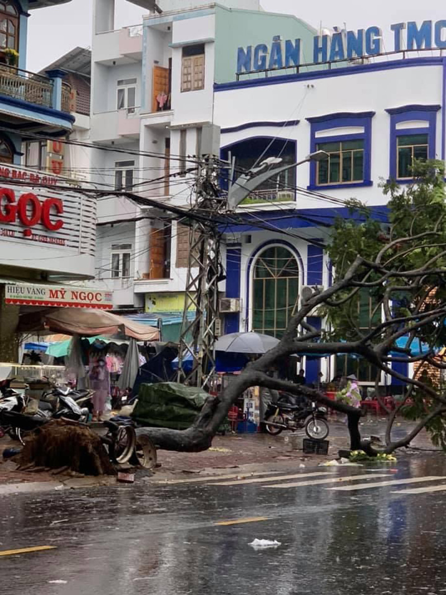 Cây xanh trên đường Nguyễn Thiện Thuật bị bật gốc do mưa lớn. Ảnh: Hồng Thương