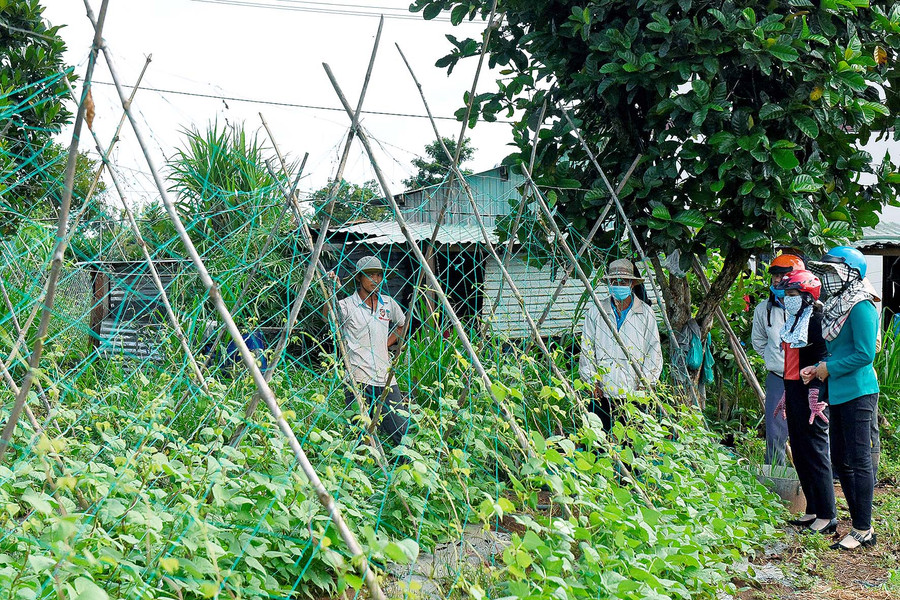 1.Hội viên, nông dân TP. Pleiku tham quan mô hình trồng rau an toàn ở làng Wâu, xã Chư Á.