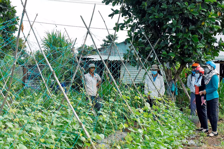1.Hội viên, nông dân TP. Pleiku tham quan mô hình trồng rau an toàn ở làng Wâu, xã Chư Á.