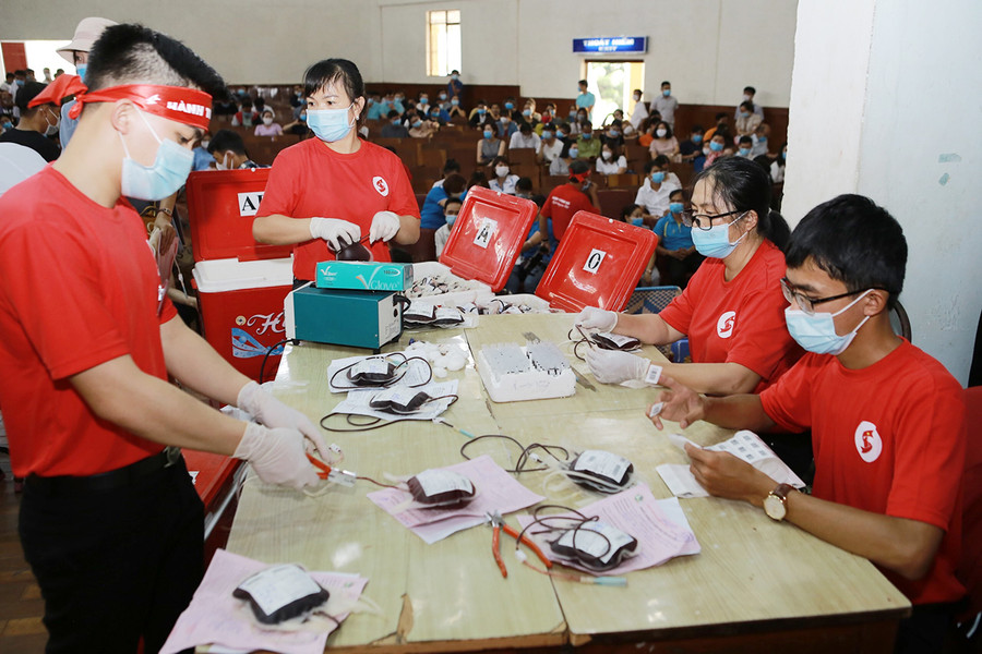  Các tình nguyện viên phân loại nhóm máu sau khi tiếp nhận. Ảnh: Phan Lài
