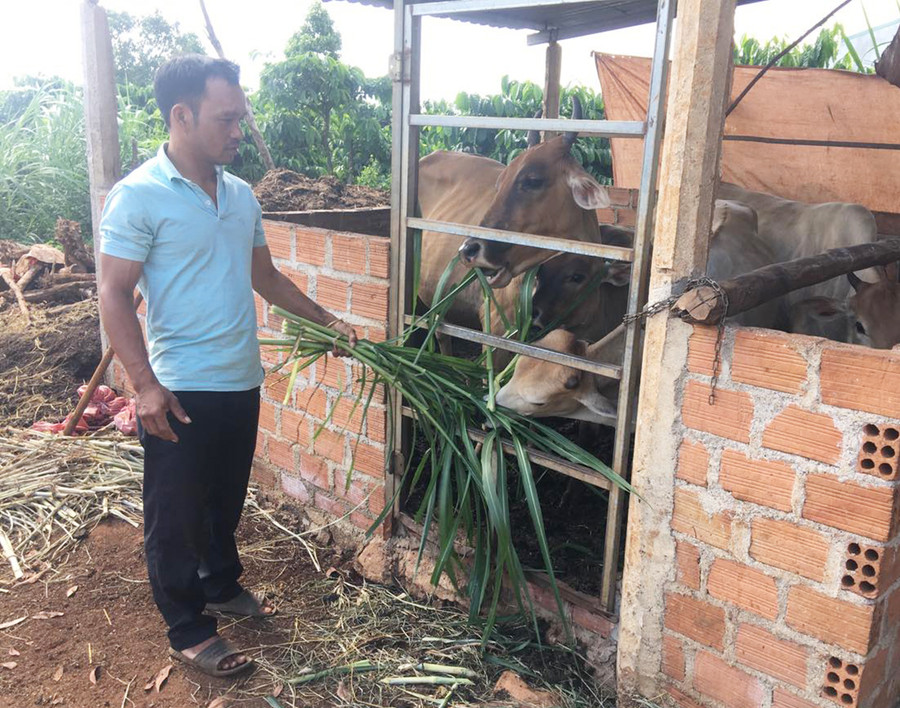 Nhờ sử dụng vốn vay hiệu quả, gia đình anh Ang Lang (làng Ring Rai, xã Hà Bầu) đã thoát nghèo. Ảnh: RÔ HOK