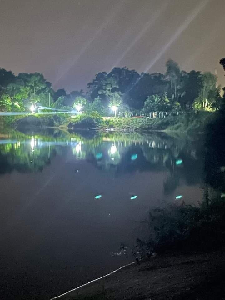 Lực lượng chức năng tiến hành tìm kiếm thi thể 2 nạn nhân tại đập Chắt. Ảnh Bá Phan Lực lượng chức năng tiến hành tìm kiếm thi thể 2 nạn nhân tại đập Chắt. Ảnh Bá Phan