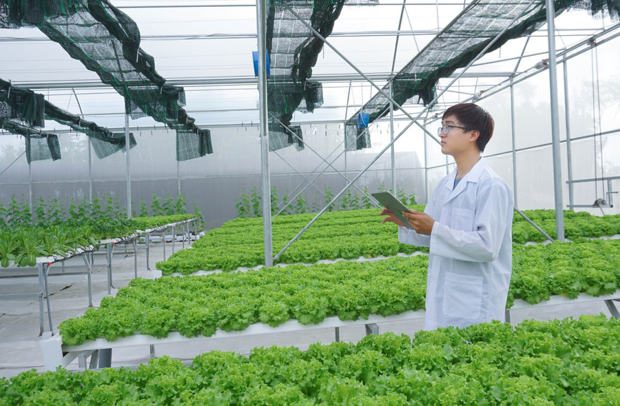 Hiện Hachi có gần 100 dự án ứng dụng công nghệ cao đã được triển khai ở khắp Việt Nam. Ảnh NVCC