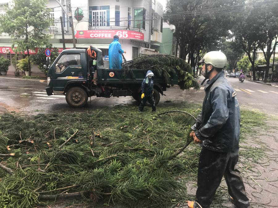  Công nhân Công ty cổ phần Công trình Đô thị Gia Lai dọn dẹp cây xanh ngã đổ tại đường Lê Hồng Phong. Ảnh: Nguyễn Diệp