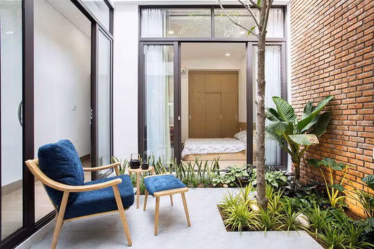 Nếu thiết kế tiểu cảnh ở giếng trời là quần thể cây thì nên bố trí cây thành ba tầng. (Ảnh minh hoạ)