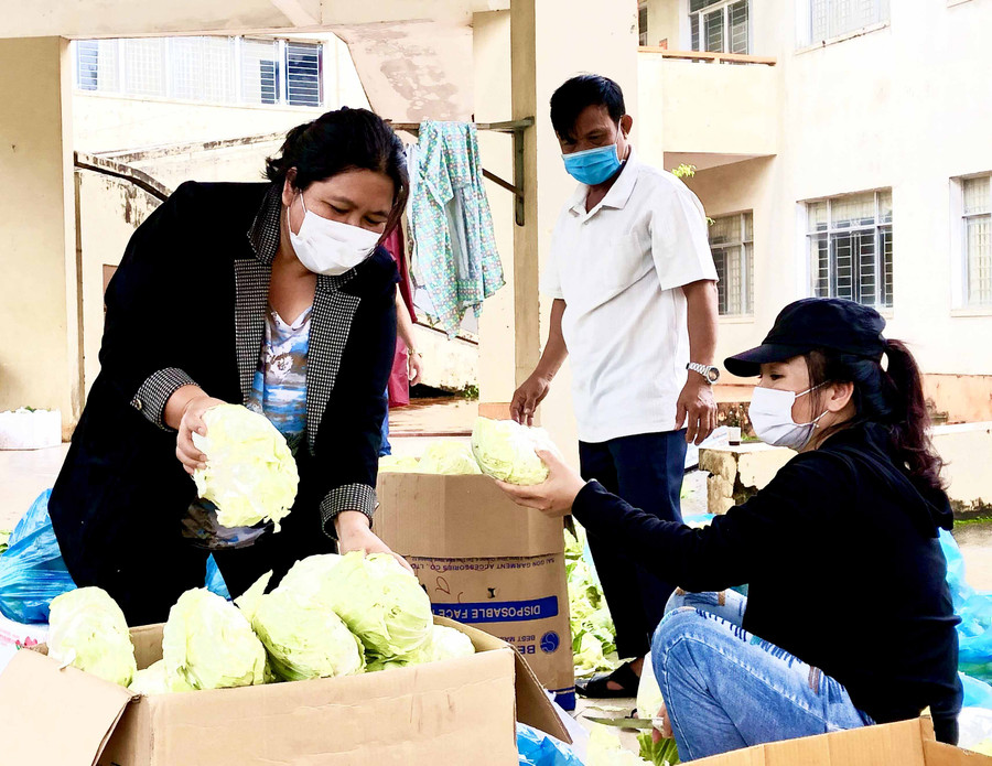 Chị Hà Thị Giang Thảo-Bí thư Tỉnh Đoàn đóng gói thực phẩm gửi tặng người dân tỉnh Bình Dương. Ảnh Phan Lài